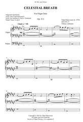 Celestial Breath, Op. 312 (Organ Solo) by Vidas Pinkevicius