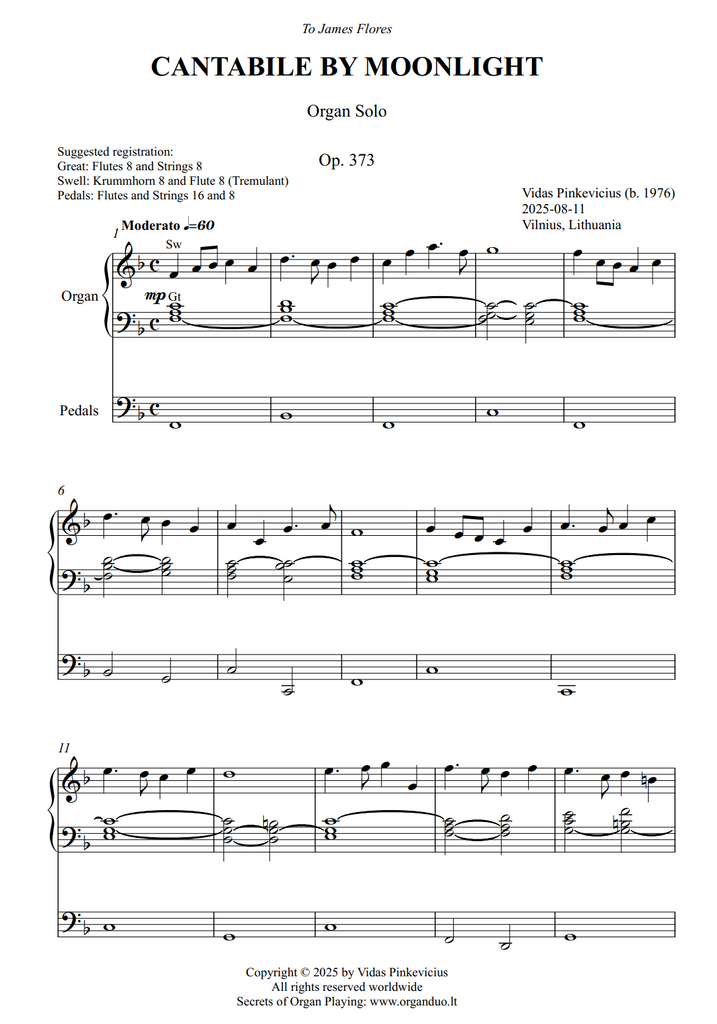Cantabile by Moonlight, Op. 373 (Organ Solo) by Vidas Pinkevicius