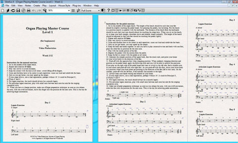Organ Playing Master Course (Level 1)