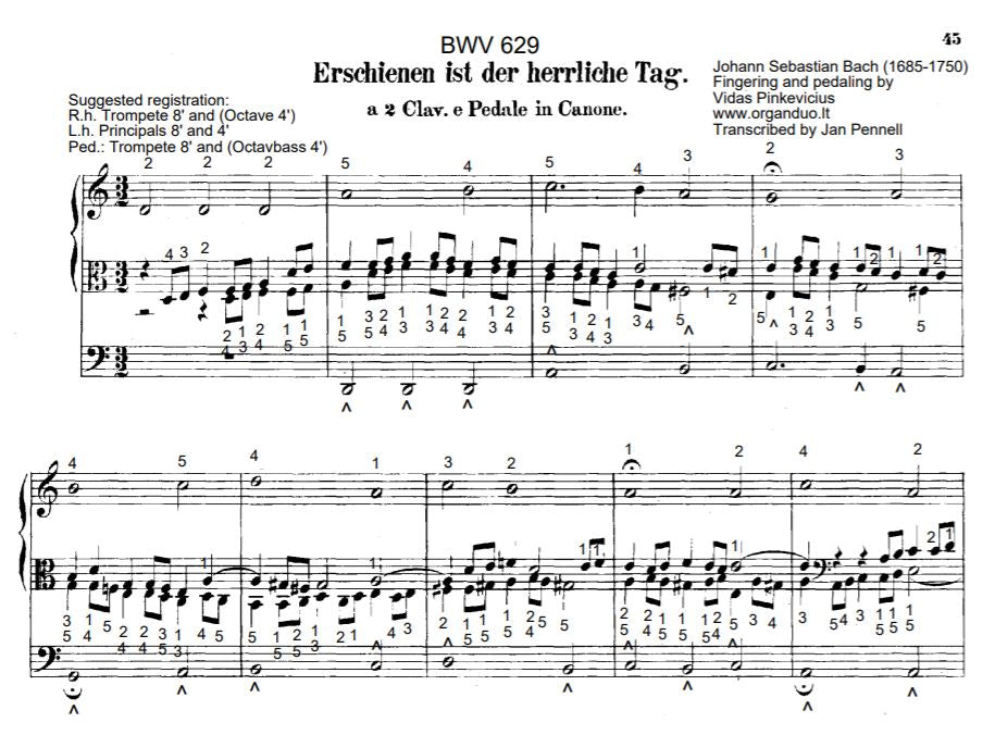 Erschienen ist der herrliche Tag, BWV 629 by J.S. Bach