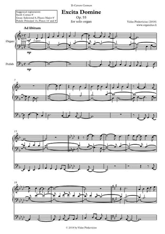 Excita Domine, Op. 55 (2018) for solo organ by Vidas Pinkevicius