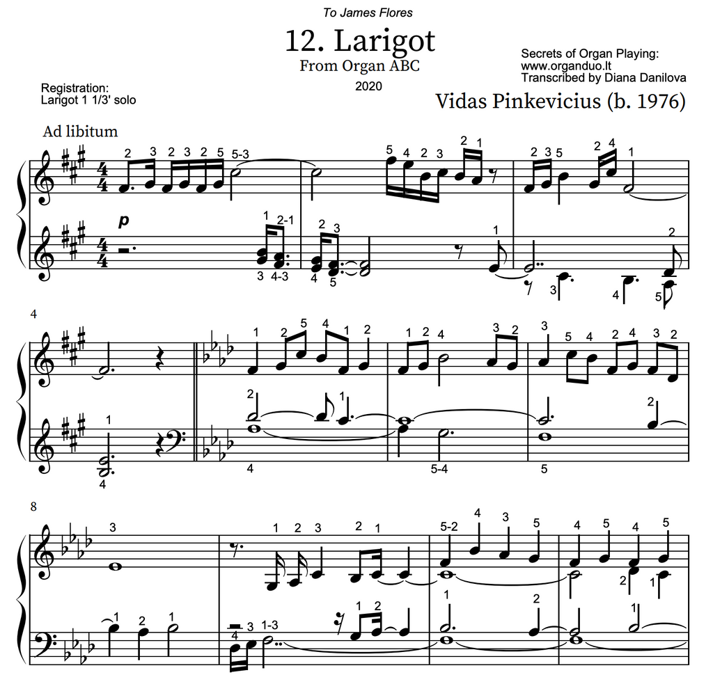 Larigot from Organ ABC by Vidas Pinkevicius (2020)