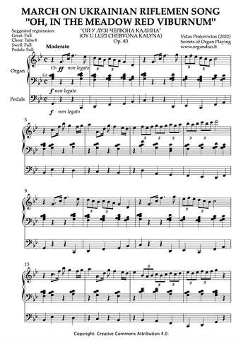 March on Ukrainian Riflemen Song "Oh, in the Meadow Red Viburnum", Op. 83 (Organ Solo) by Vidas Pinkevicius (2022)