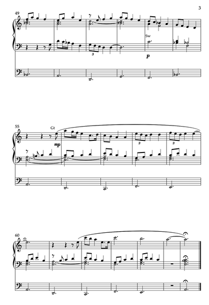 Meditation on Ukrainian Song "Homeland", Op. 84 (Organ Solo) by Vidas Pinkevicius (2022)