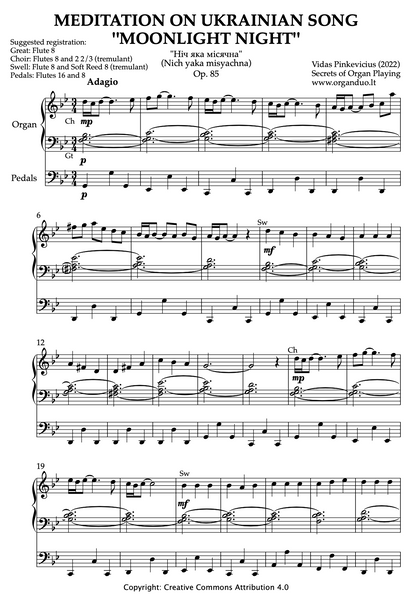 Meditation on Ukrainian Song "Moonlight Night", Op. 85 (Organ Solo) by Vidas Pinkevicius (2022)
