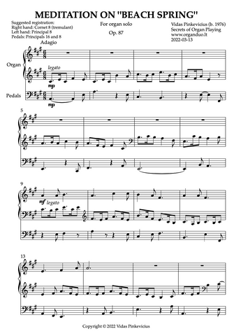 Meditation on "Beach Spring", Op. 87 (Organ Solo) by Vidas Pinkevicius (2022)